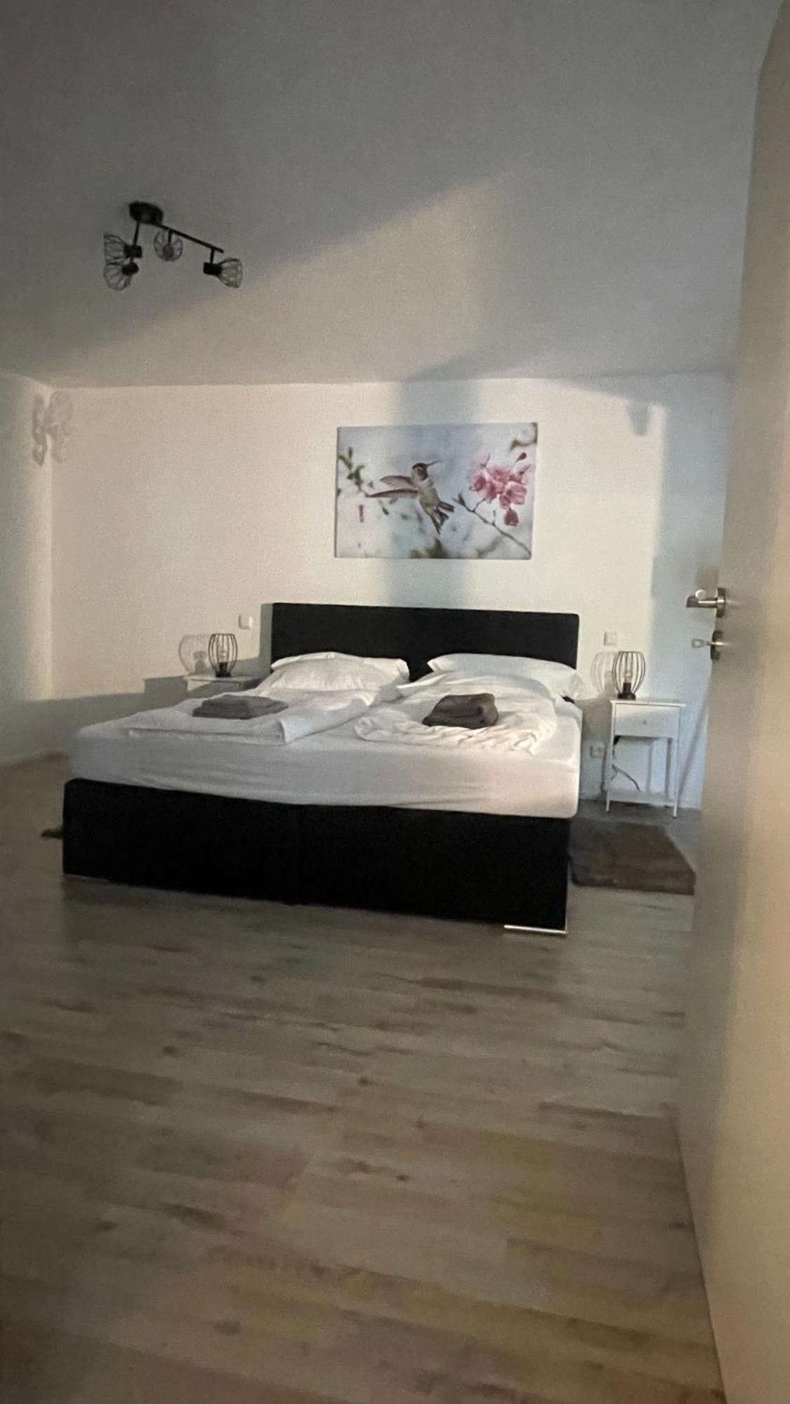 Apartament Oase Im Gruenen Hinterhof, Eg, Ruhe, Terrasse, Carport, Free Paytv, Kaffee&Tee, Fahrraeder Duisburg Zewnętrze zdjęcie