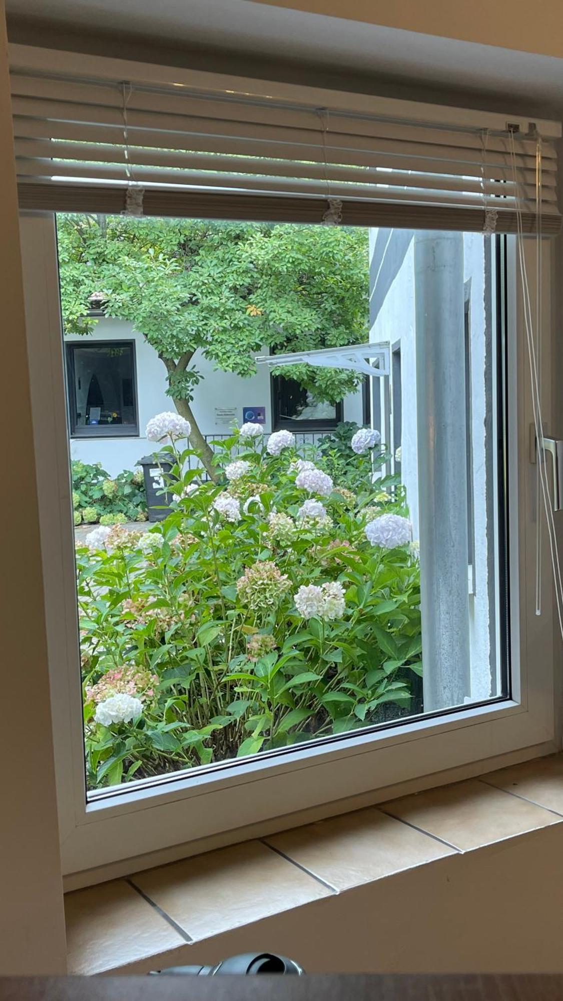 Apartament Oase Im Gruenen Hinterhof, Eg, Ruhe, Terrasse, Carport, Free Paytv, Kaffee&Tee, Fahrraeder Duisburg Zewnętrze zdjęcie